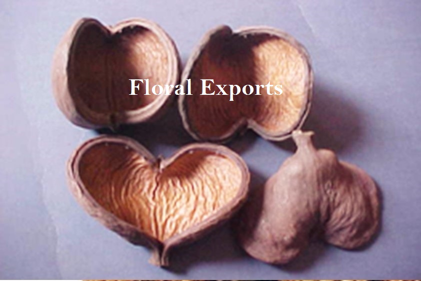 https://global.driedexotic.com/wp-content/uploads/2016/06/BADAM-PODS-NATURAL-1.jpg