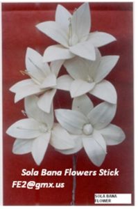 SOLA BANA FLOWERS STICK s