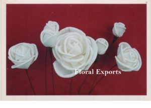 SOLA ROSE DIFFERENT SIZES